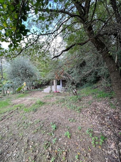 Eco-Chic Retreat: Countryside Oasis Near Florence Pozzolatico 外观 照片